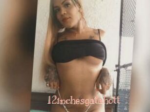 12inchesgatahott