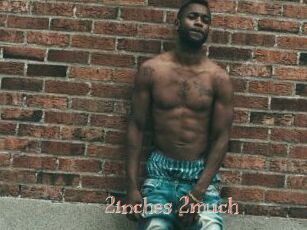 2inches_2much