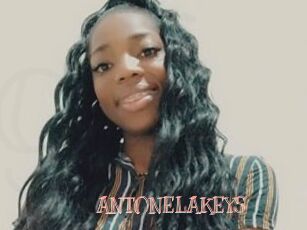 ANTONELAKEYS