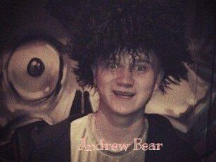Andrew_Bear