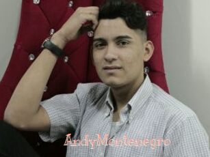 AndyMontenegro
