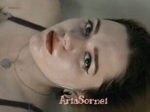 AriaSornei