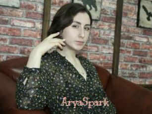 AryaSpark