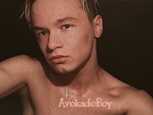 AvokadoBoy