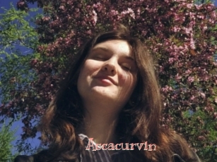 Accacurvin