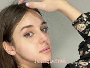 Accagledhill
