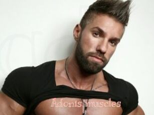 Adonis_muscles