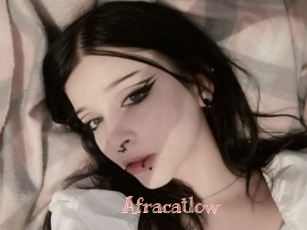 Afracatlow