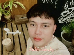 Aidenlandy