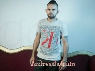 Andressholguin