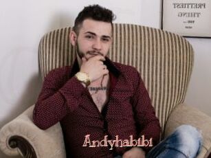 Andyhabibi