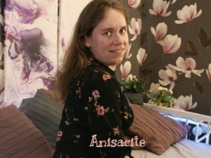 Anisacite