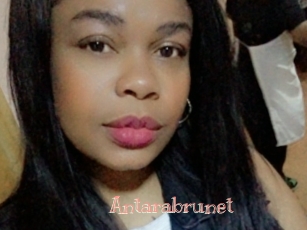 Antarabrunet