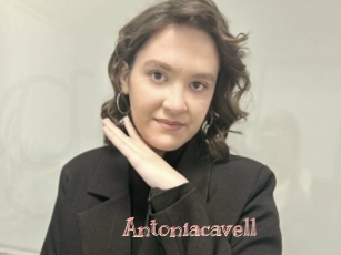 Antoniacavell