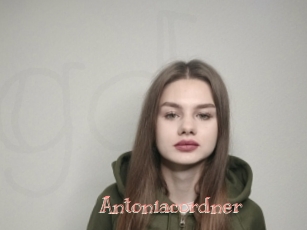 Antoniacordner