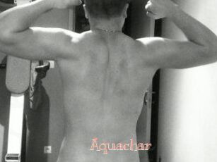 Aquachar