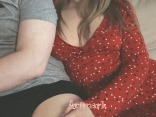 Arimark