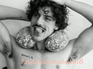 Aristotelesmustache18