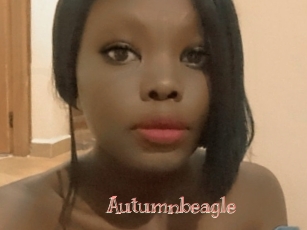 Autumnbeagle