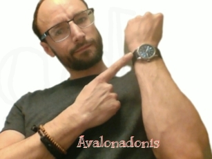 Avalonadonis