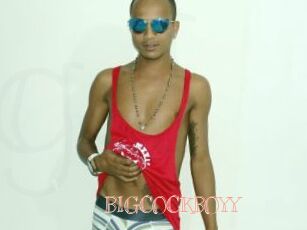 BIGCOCKBOYY