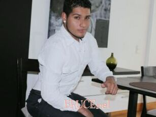 BRUCEnel