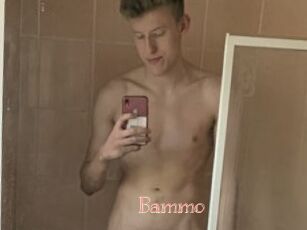 Bammo