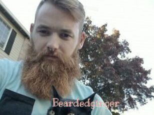 Beardedginger