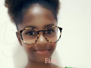 Bida