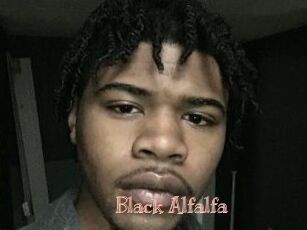 Black_Alfalfa