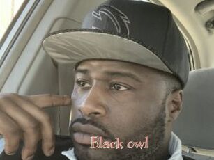 Black_owl