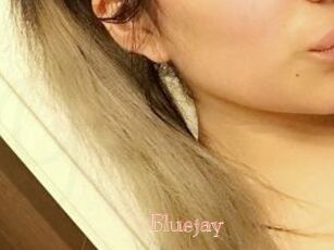 Blue_jay