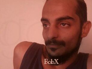 BobX