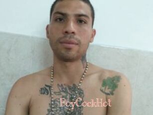 BoyCockHot