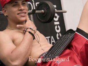 Boysensualhard