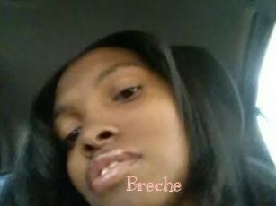 Breche