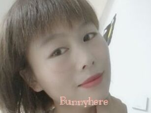 Bunnyhere