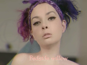 Bedside_willow