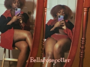 Bellarosepotter