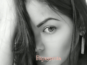 Bigassmia