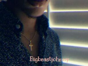 Bigbeastjohnny