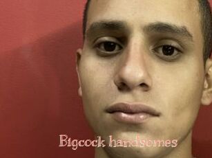 Bigcock_handsomes