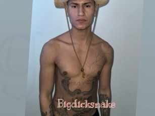 Bigdicksnake