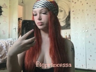 Bigprincessa