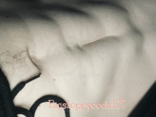 Bigsloppycock125