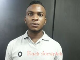 Black_dominick
