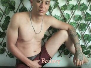 Bodsey