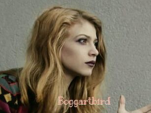 Boggartbird