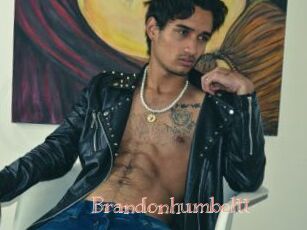 Brandonhumboltt
