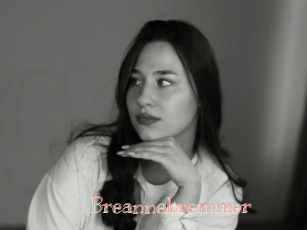 Breannebremmer
